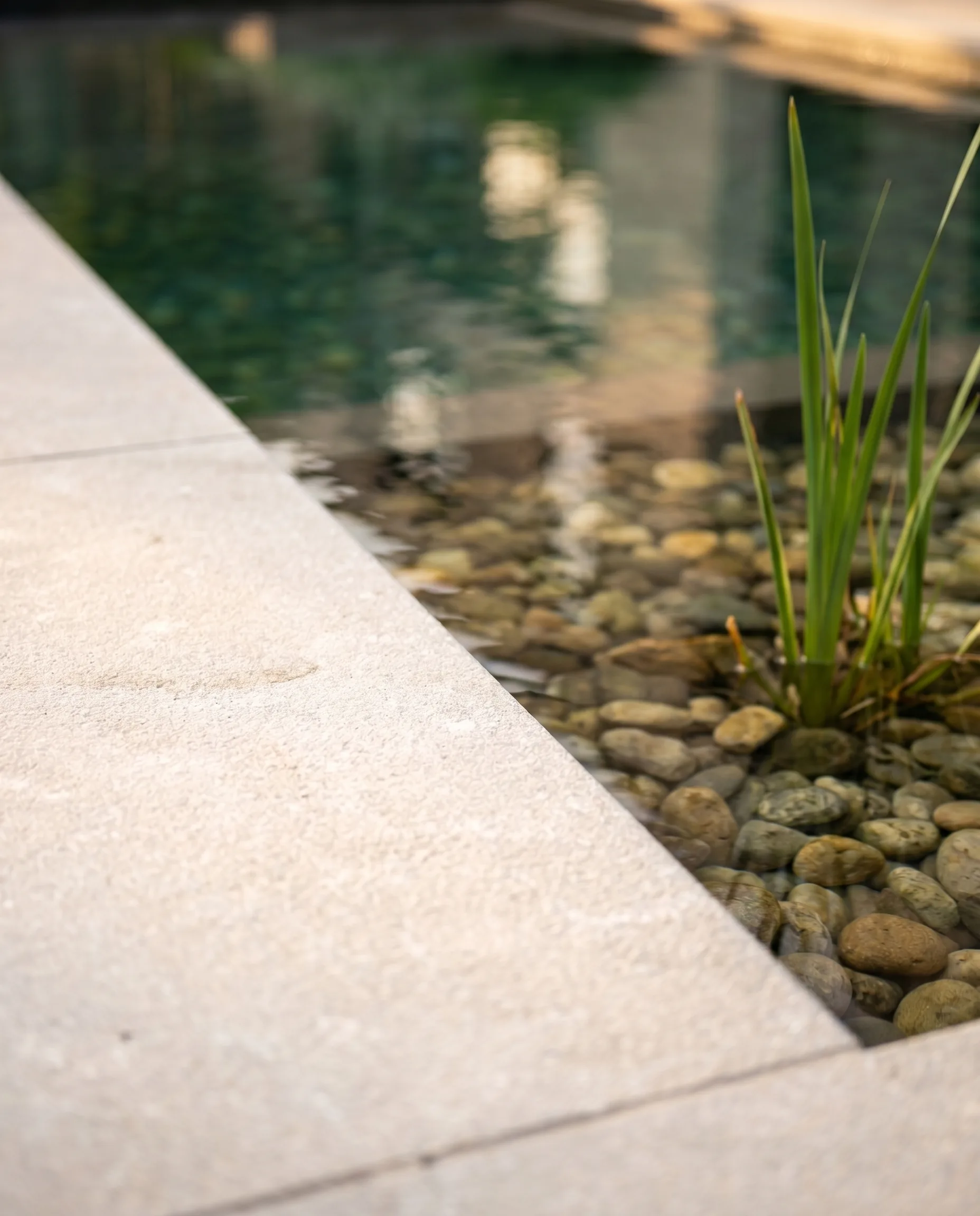Nahaufnahme einer hellen Steinplattenecke an einem naturnahen Premiumgarten-Teich mit Kiesboden und Wasserpflanzen.