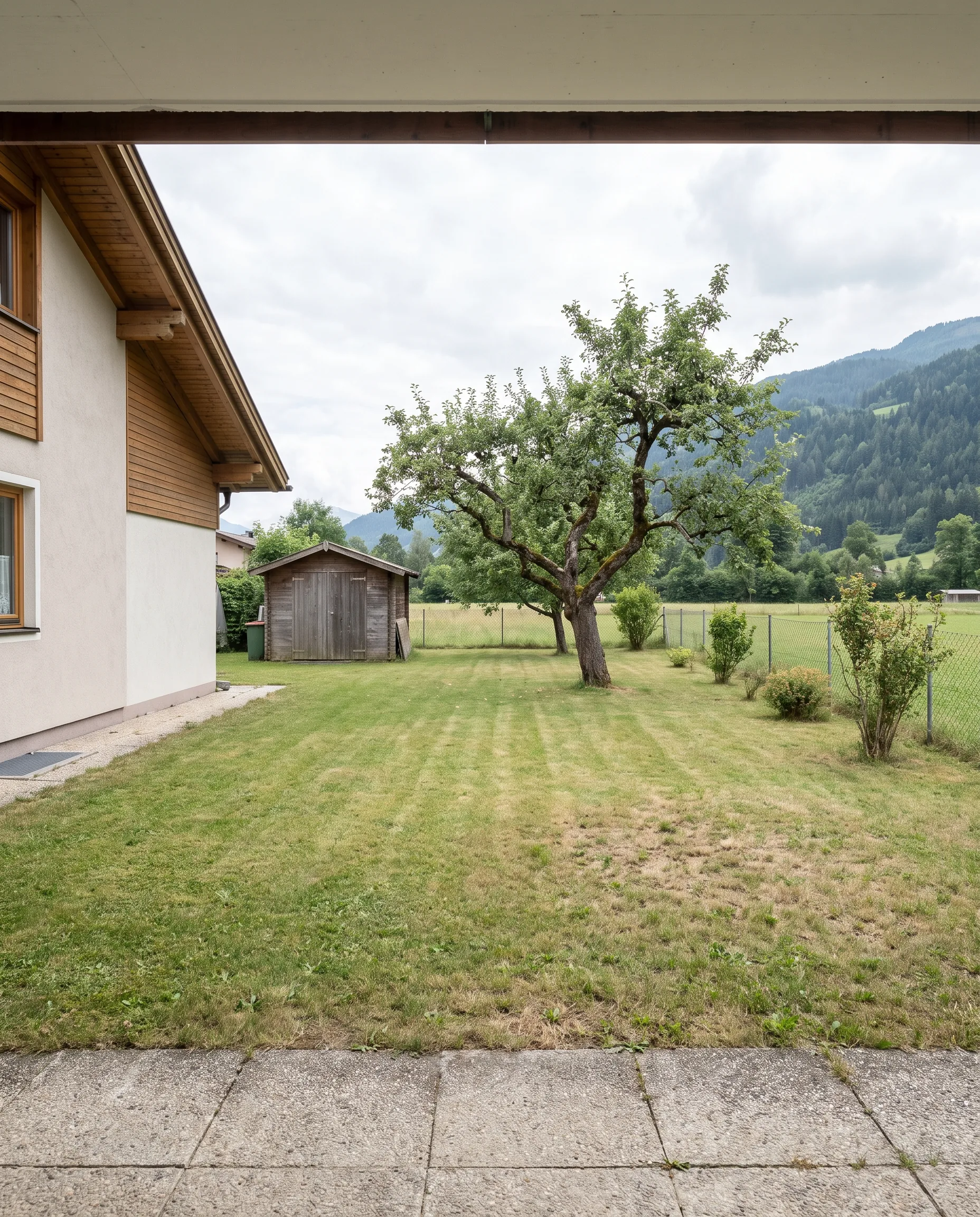 Simple garden at a detached house with lawn, old apple tree and garden shed against a mountain backdrop