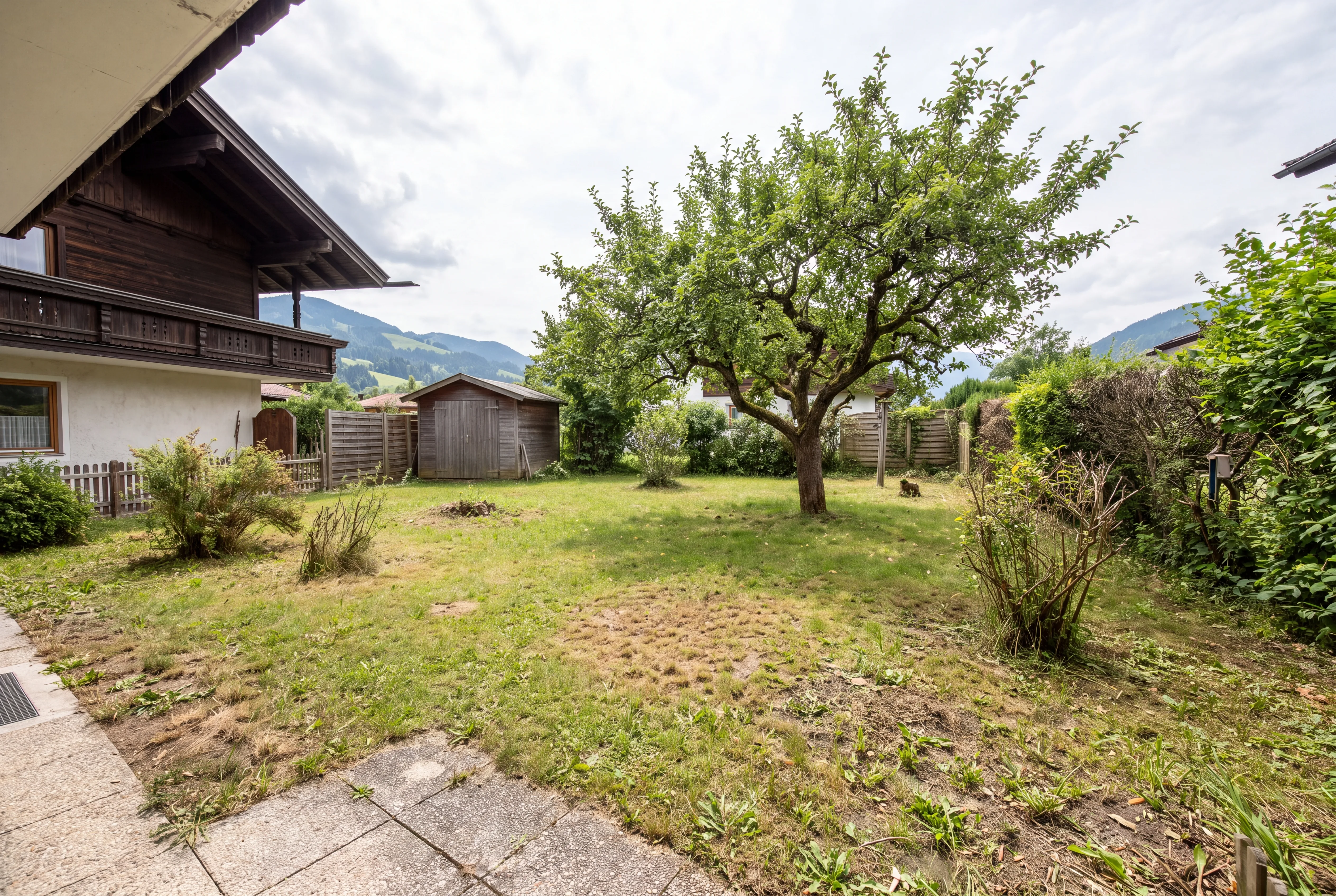 Garden behind a chalet with patchy lawn, an old apple tree, a few shrubs, a wooden shed and weathered exposed-aggregate concrete slabs in the foreground